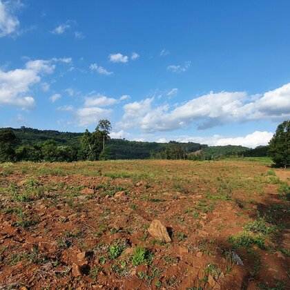 Área de terras plana no interior de Linha Nova, na Serra Gaúcha