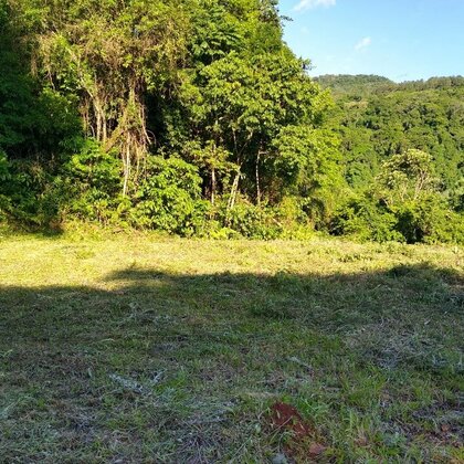 Área de terra com córregos e rica em mata nativa à venda em Linha Nova na Serra Gaúcha