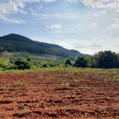 Área de terras com linda vista à venda em Linha Nova, na Serra Gaúcha